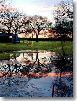 Back at the Ranch sunrise