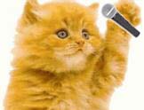 kitty with mike